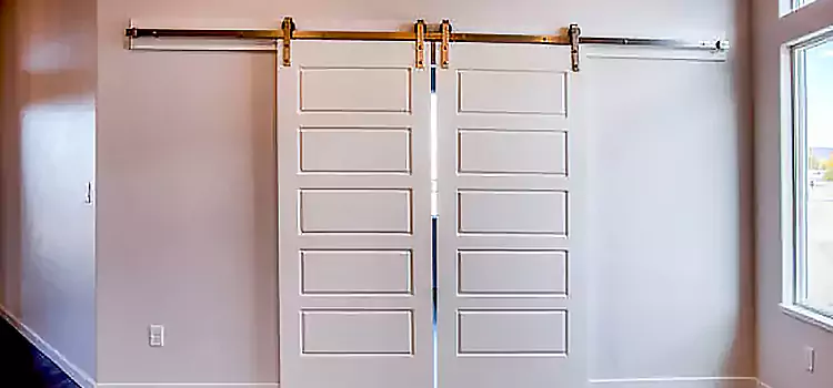 Glass Barn Door with Installation Hardware Kit Brockton