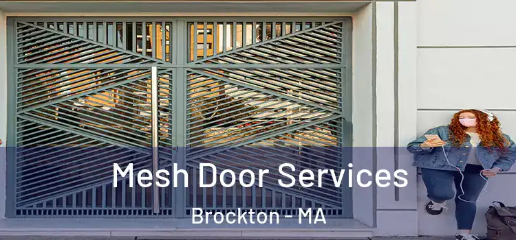 Mesh Door Services Brockton - MA